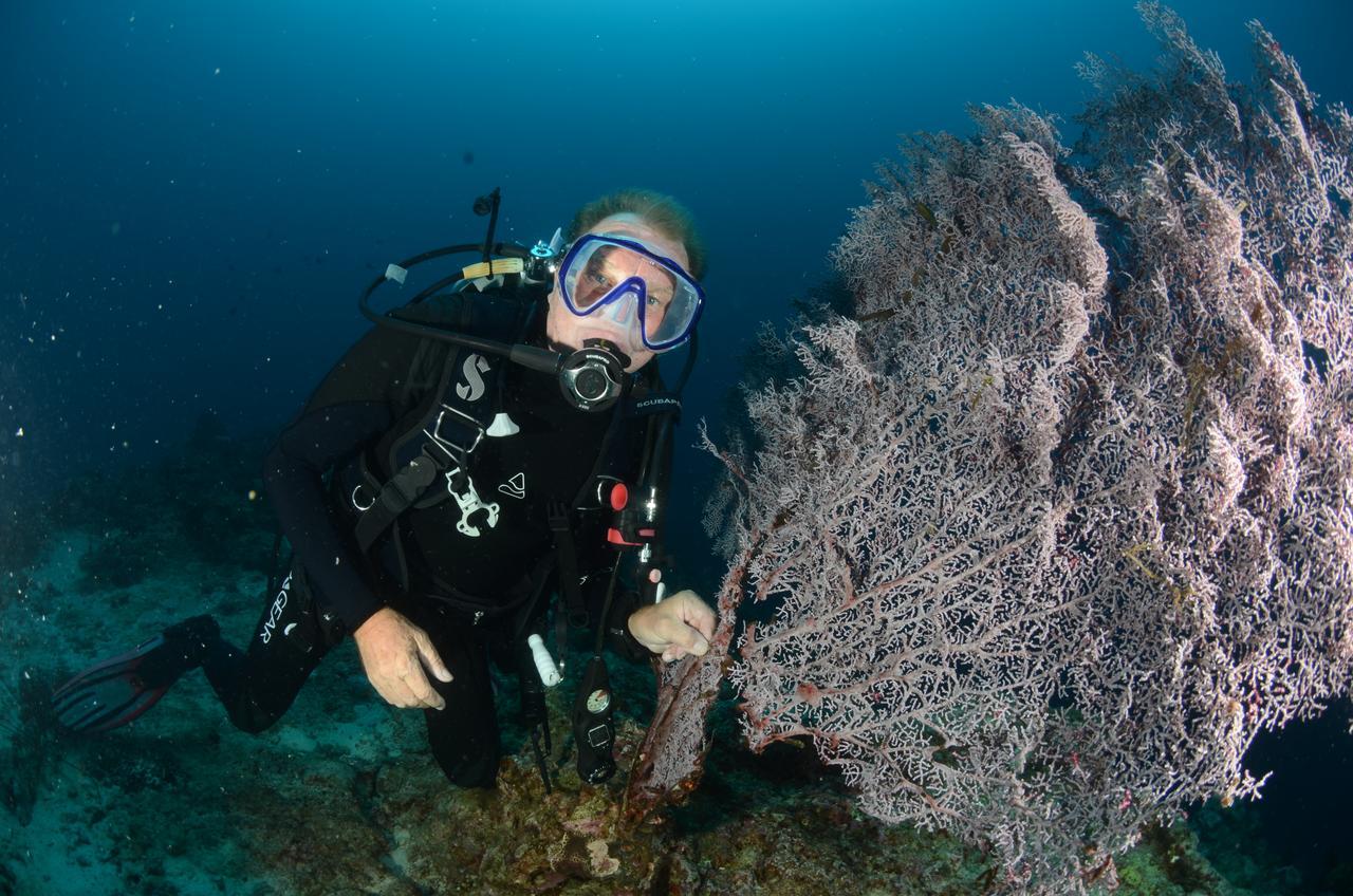 Cabilao Sunset Dive & Beach Resort Loon Esterno foto